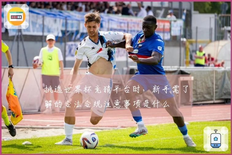 挑选世界杯竞猜平台时，新手需了解的合法合规注意事项是什么