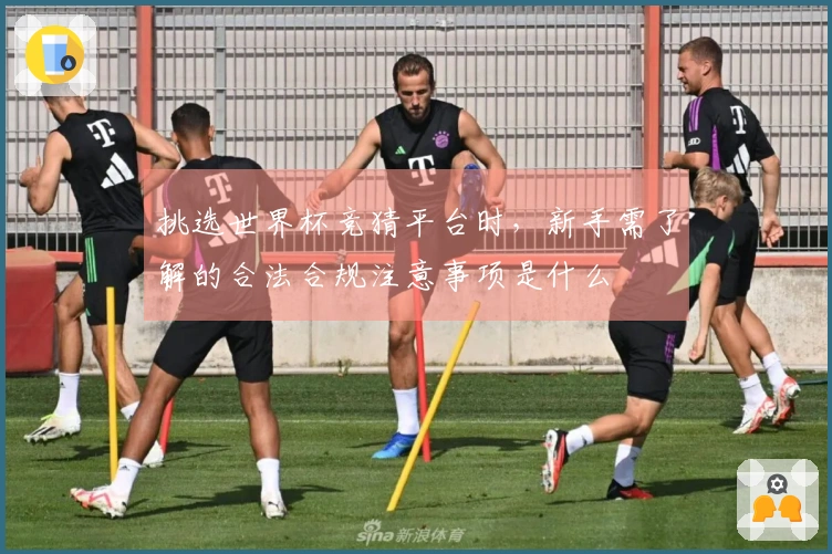 挑选世界杯竞猜平台时，新手需了解的合法合规注意事项是什么