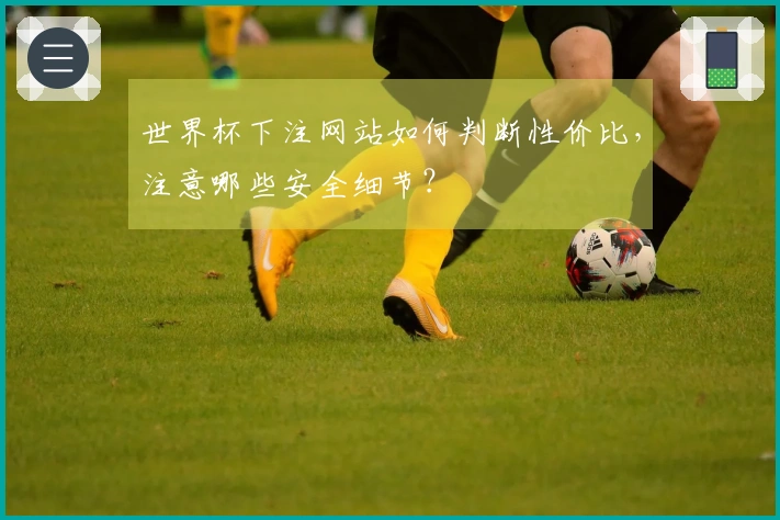 世界杯下注网站如何判断性价比，注意哪些安全细节？
