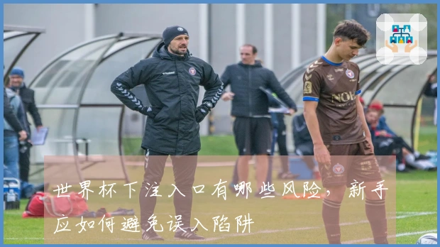 世界杯下注入口有哪些风险，新手应如何避免误入陷阱