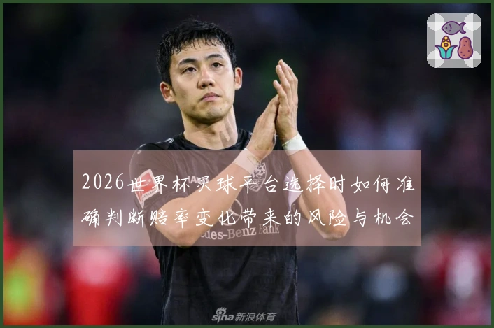 2026世界杯买球平台选择时如何准确判断赔率变化带来的风险与机会