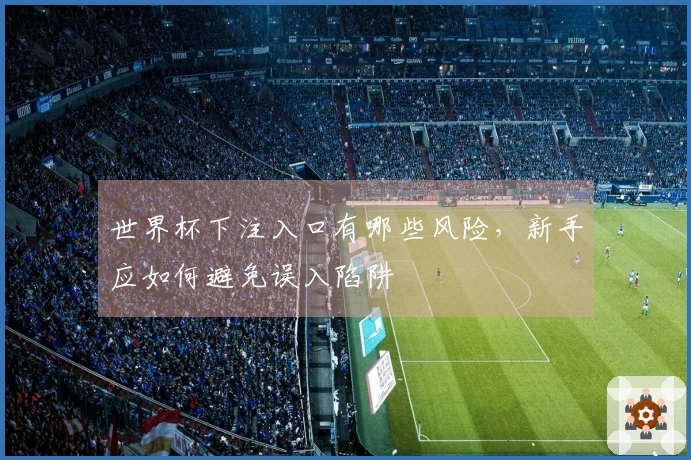 世界杯下注入口有哪些风险，新手应如何避免误入陷阱